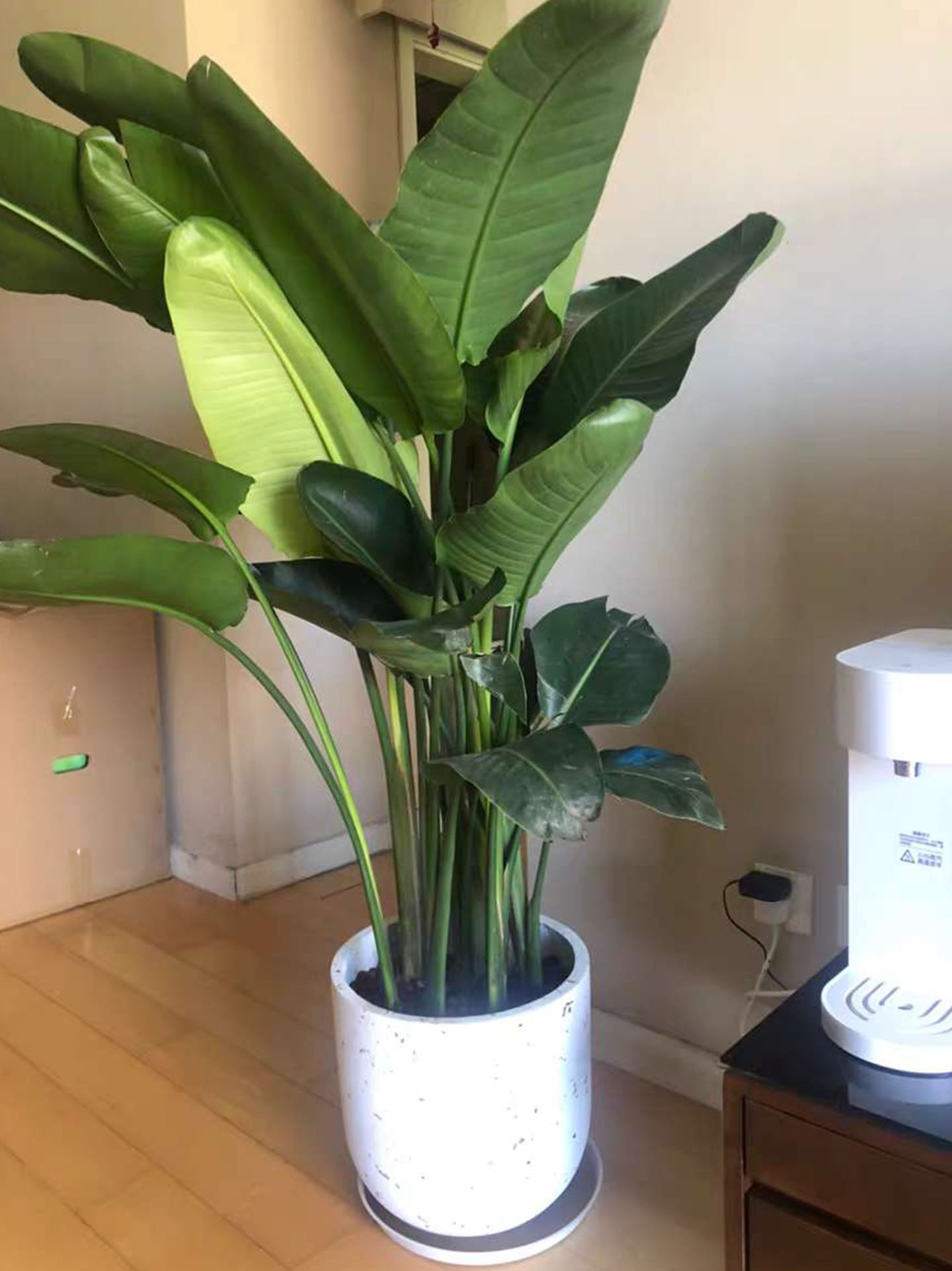 弘森资产管理有限公司